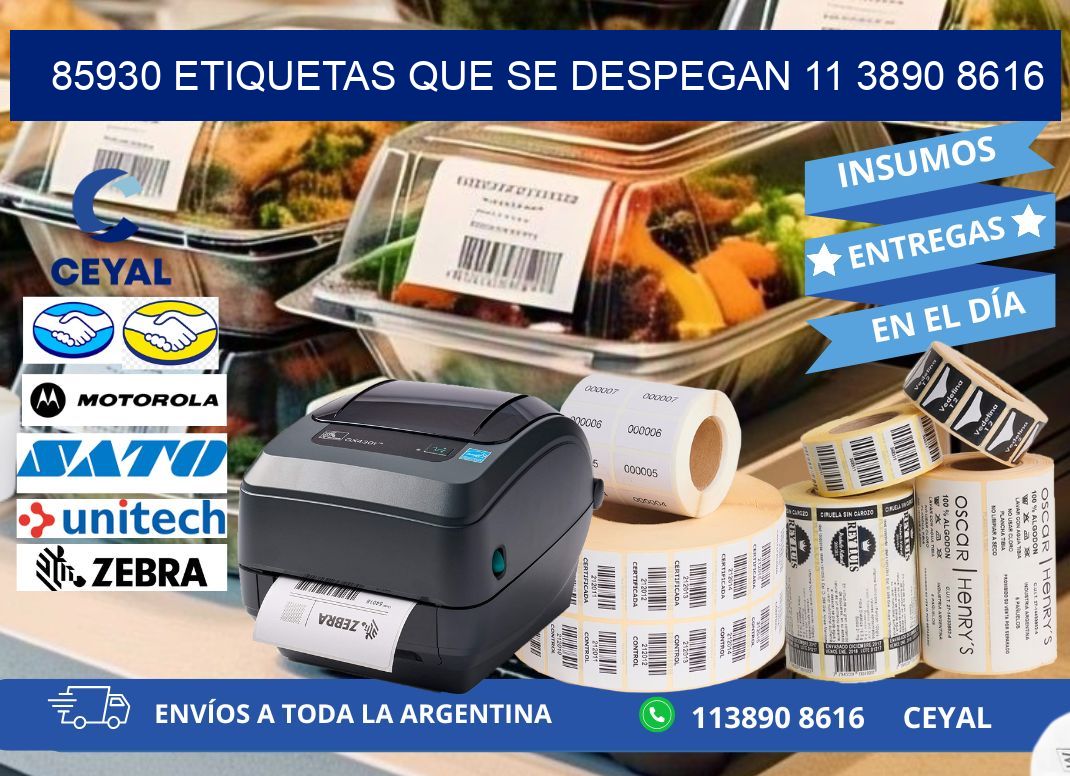 85930 ETIQUETAS QUE SE DESPEGAN 11 3890 8616