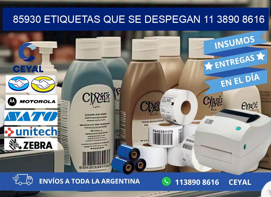 85930 ETIQUETAS QUE SE DESPEGAN 11 3890 8616