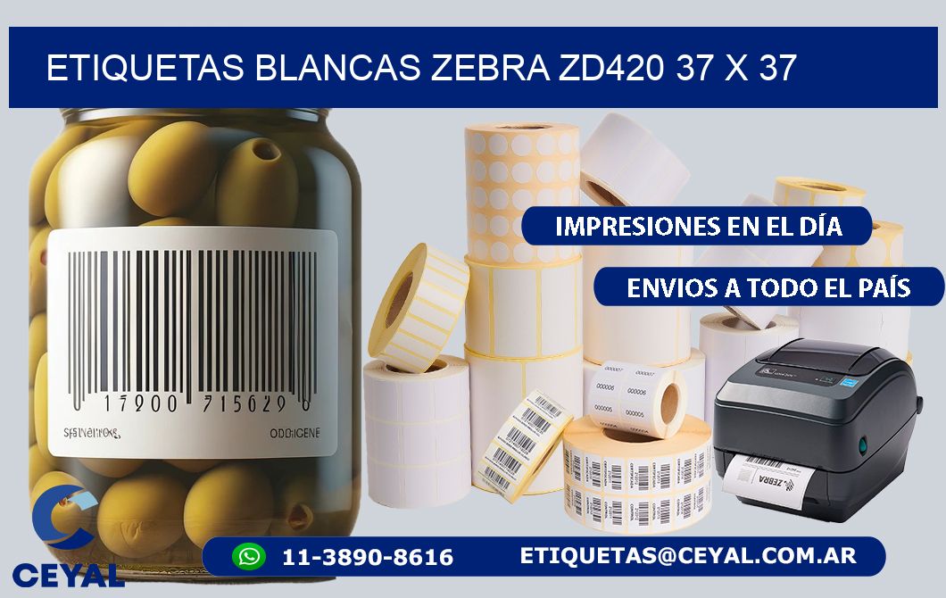 ETIQUETAS BLANCAS ZEBRA ZD420 37 x 37