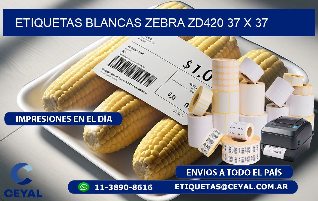 ETIQUETAS BLANCAS ZEBRA ZD420 37 x 37