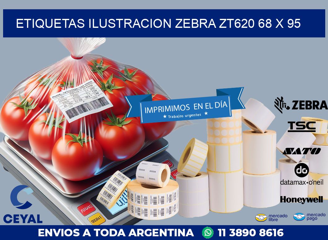 ETIQUETAS ILUSTRACION ZEBRA ZT620 68 x 95