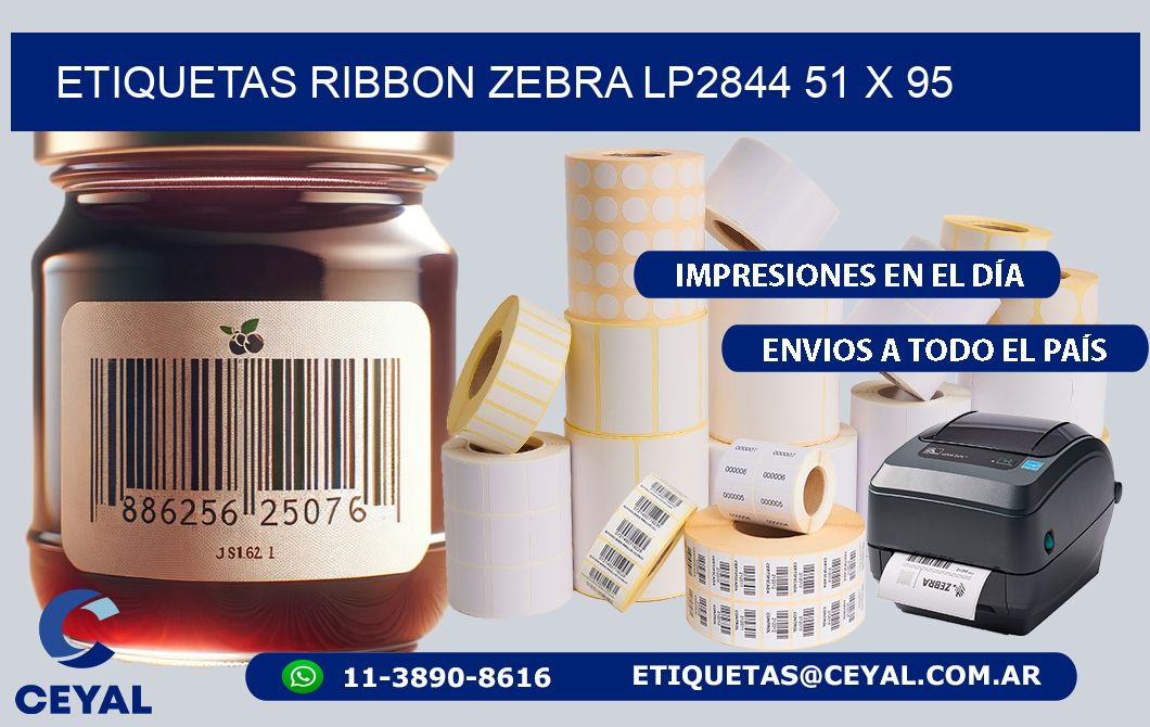 ETIQUETAS RIBBON Zebra LP2844 51 x 95