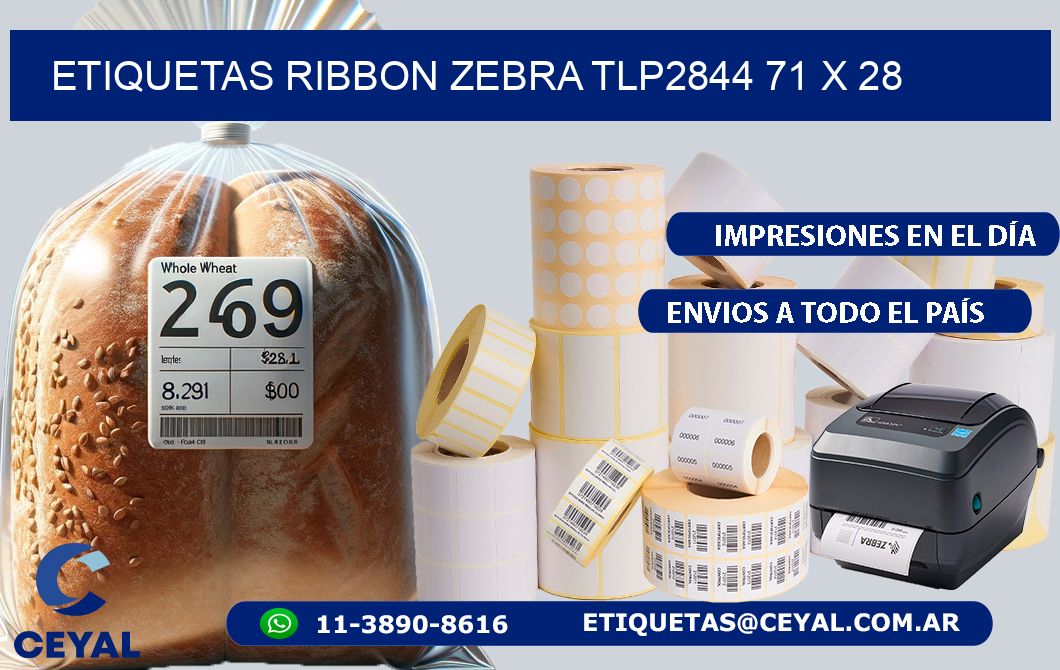 ETIQUETAS RIBBON Zebra TLP2844 71 x 28