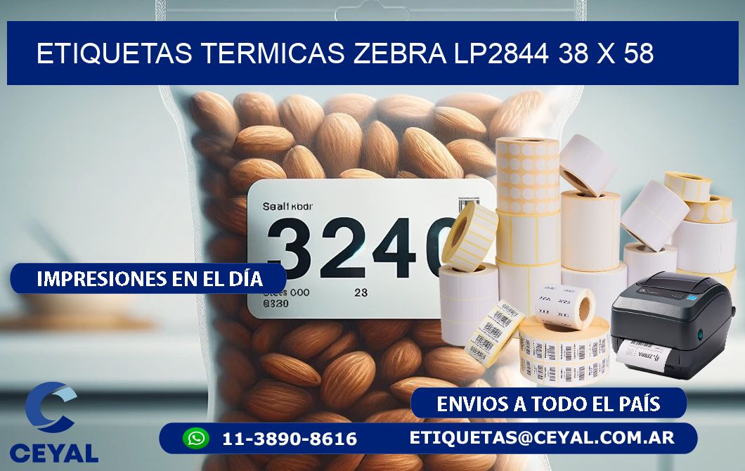 ETIQUETAS TERMICAS ZEBRA LP2844 38 x 58