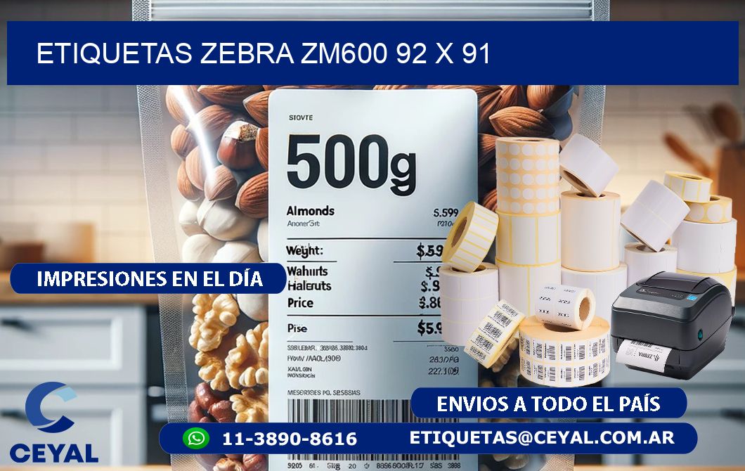 ETIQUETAS Zebra ZM600 92 x 91