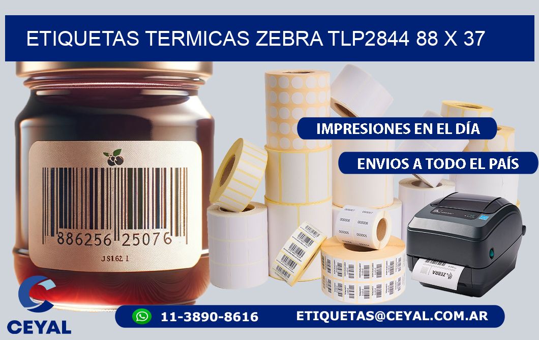 ETIQUETAS TERMICAS ZEBRA TLP2844 88 x 37