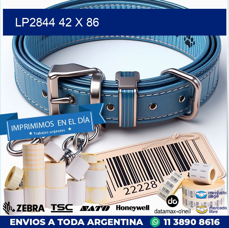 LP2844 42 x 86