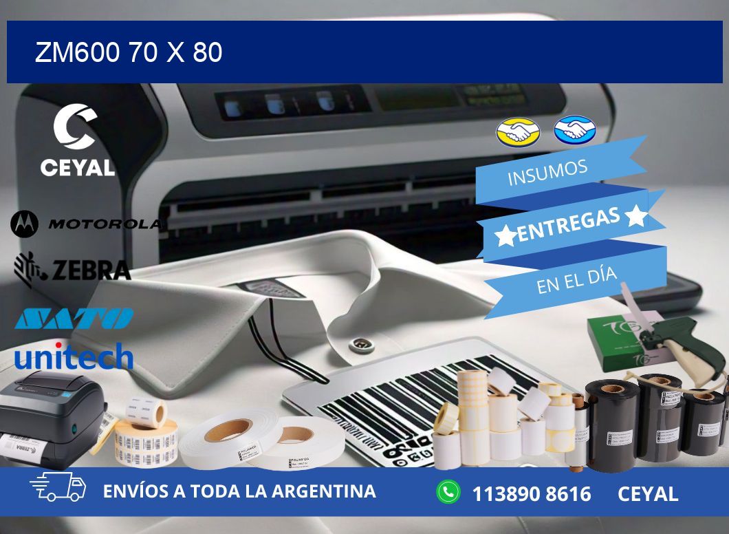 ZM600 70 x 80