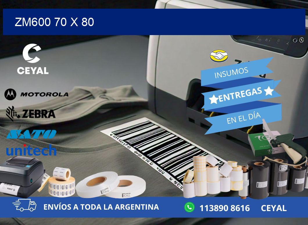 ZM600 70 x 80