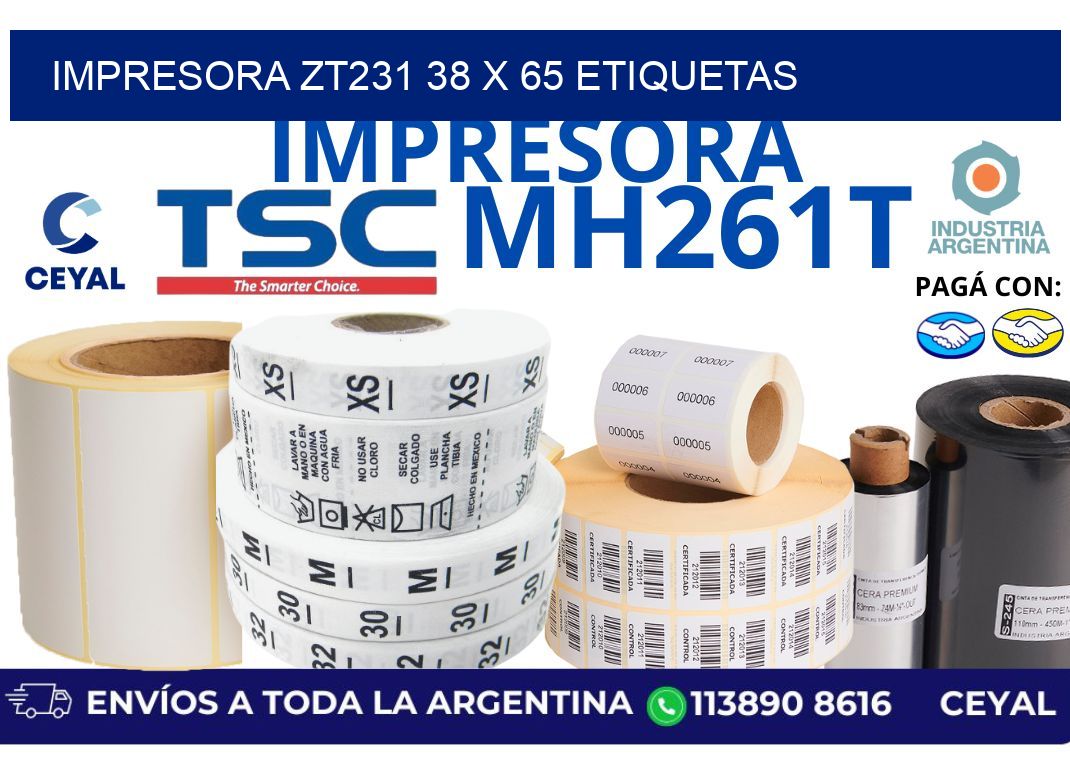 impresora zt231 38 x 65 etiquetas