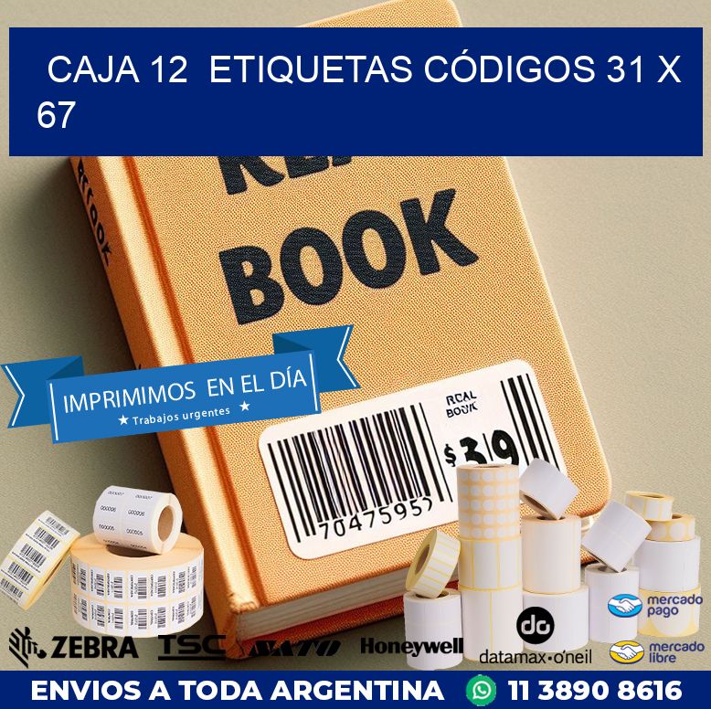 CAJA 12  ETIQUETAS CÓDIGOS 31 x 67