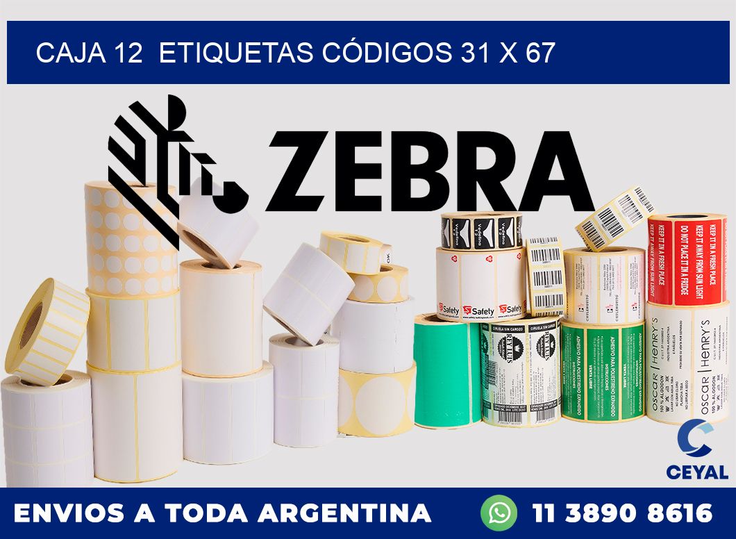 CAJA 12  ETIQUETAS CÓDIGOS 31 x 67