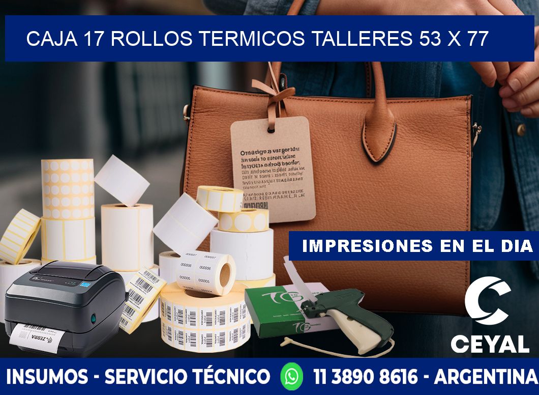CAJA 17 ROLLOS TERMICOS TALLERES 53 x 77