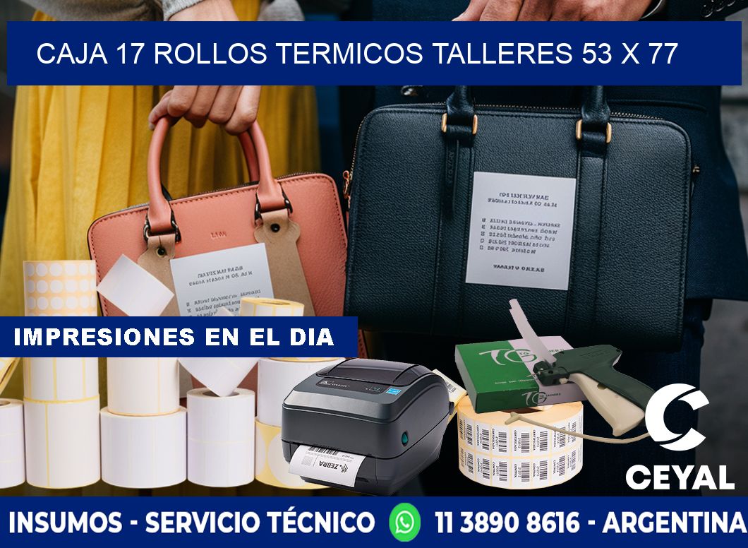 CAJA 17 ROLLOS TERMICOS TALLERES 53 x 77