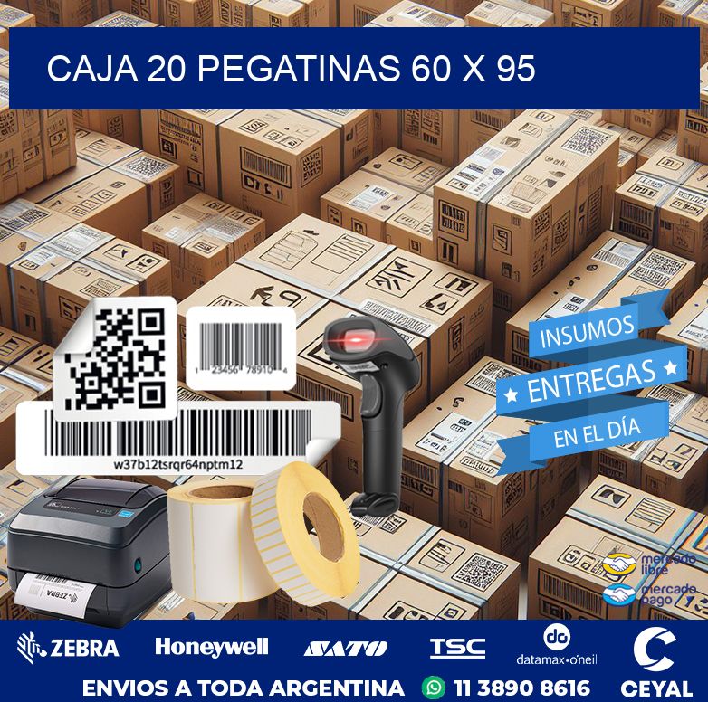 CAJA 20 PEGATINAS 60 x 95