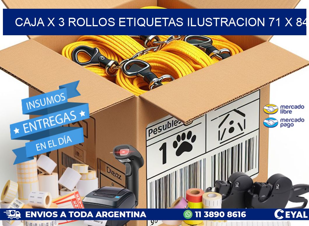 Caja X 3 Rollos Etiquetas Ilustracion 71 x 84