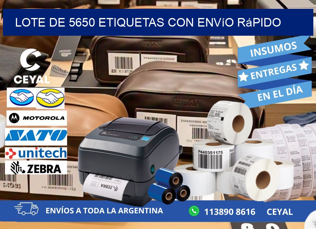 Lote de 5650 etiquetas con envío rápido