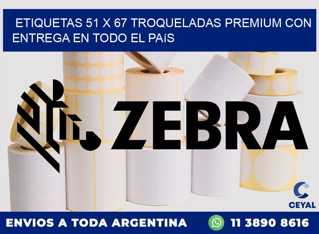 Etiquetas 51 x 67 troqueladas premium con entrega en todo el país