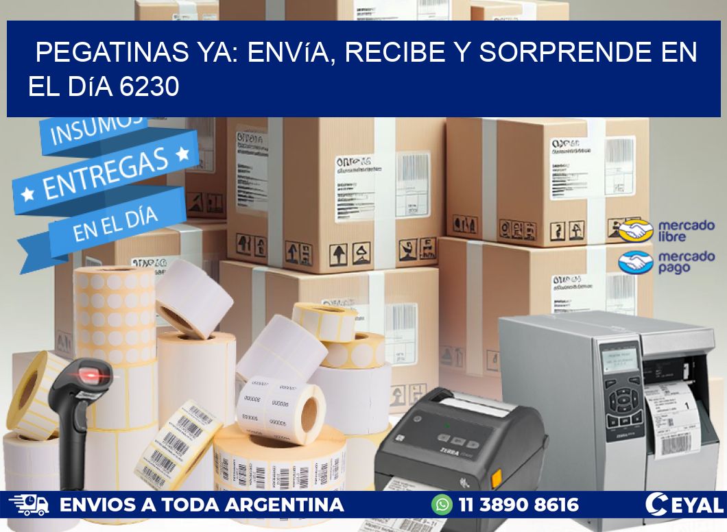 Pegatinas Ya: Envía, Recibe y Sorprende en el Día 6230