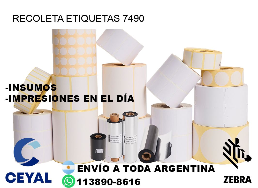 Recoleta etiquetas 7490