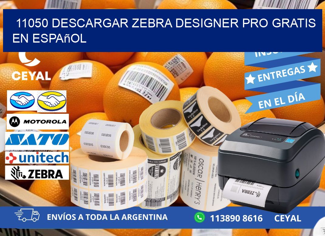 11050 Descargar Zebra Designer Pro gratis en Español