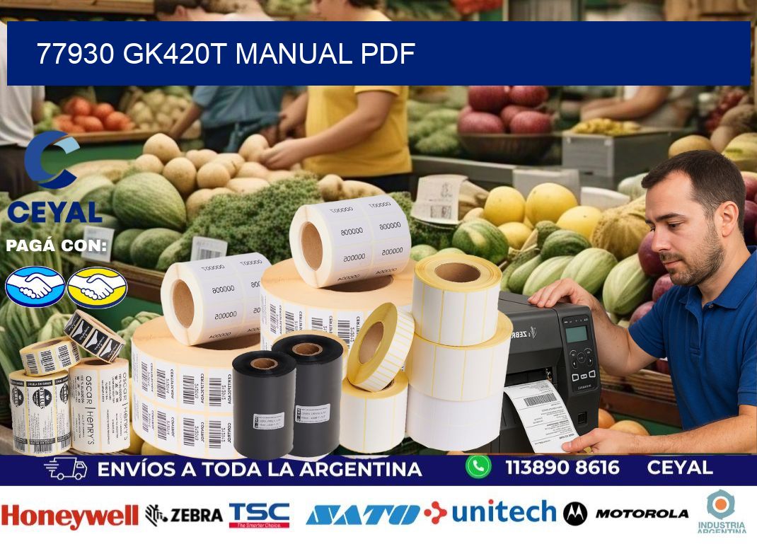 77930 GK420T manual PDF