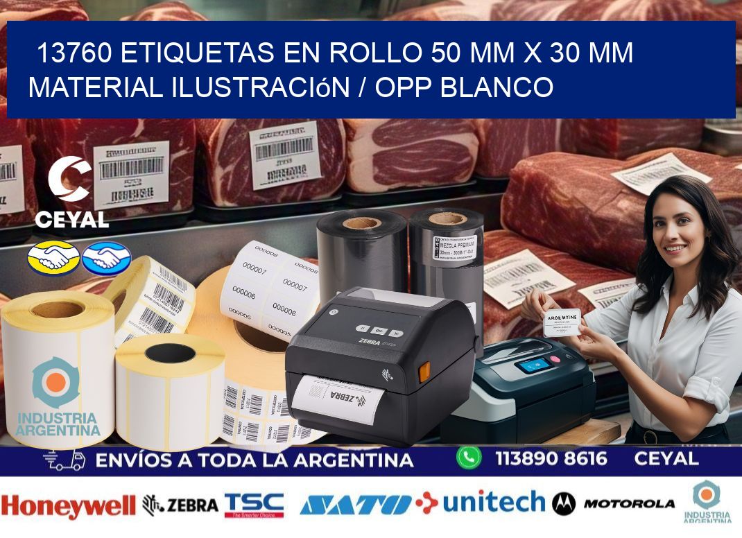13760 Etiquetas en rollo 50 mm x 30 mm material Ilustración / OPP Blanco