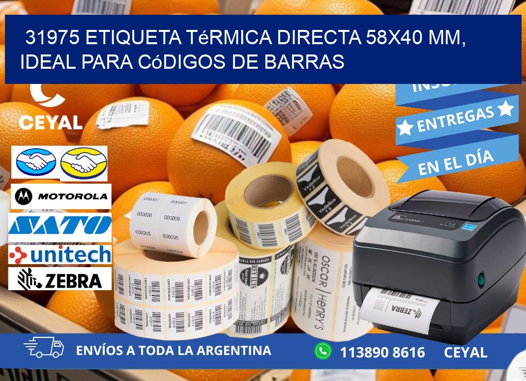 31975 Etiqueta Térmica Directa 58x40 mm, ideal para códigos de barras