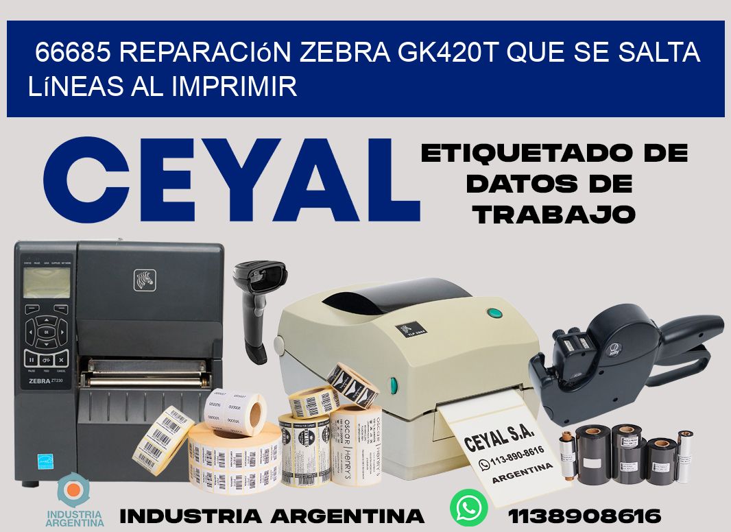 66685 reparación zebra gk420t que se salta líneas al imprimir