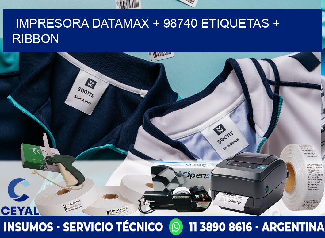 impresora DATAMAX + 98740 etiquetas + ribbon