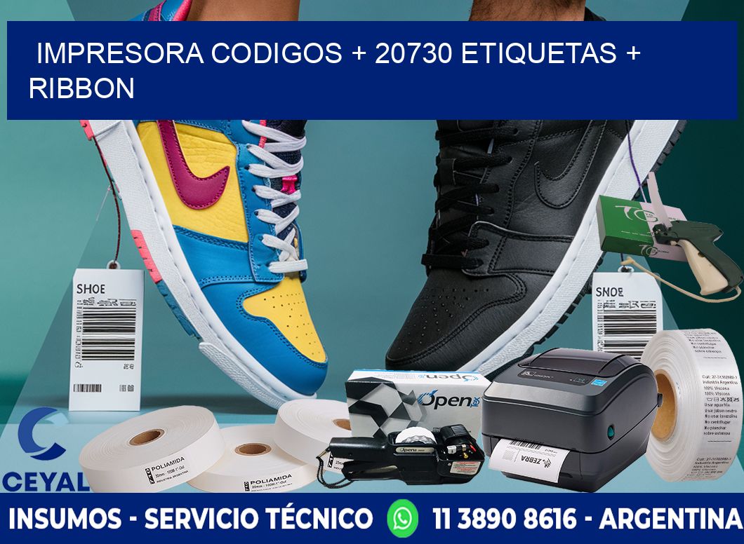 impresora codigos + 20730 etiquetas + ribbon