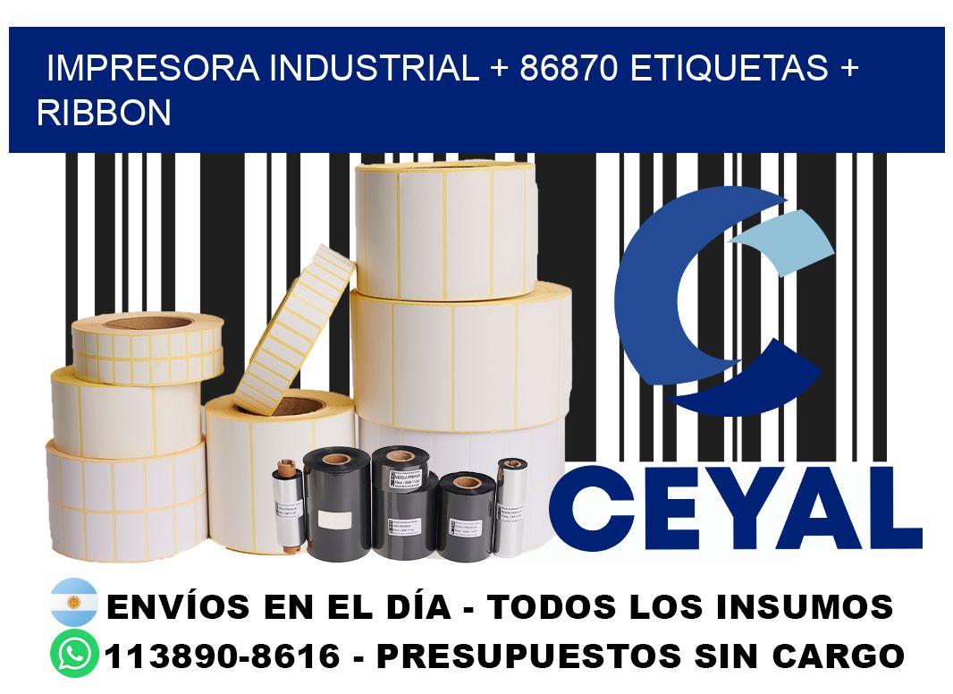 impresora industrial + 86870 etiquetas + ribbon