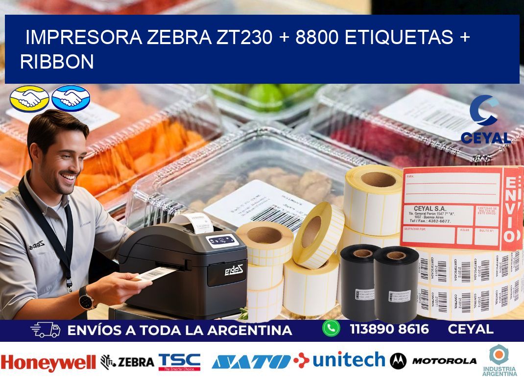 impresora zebra zt230 + 8800 etiquetas + ribbon