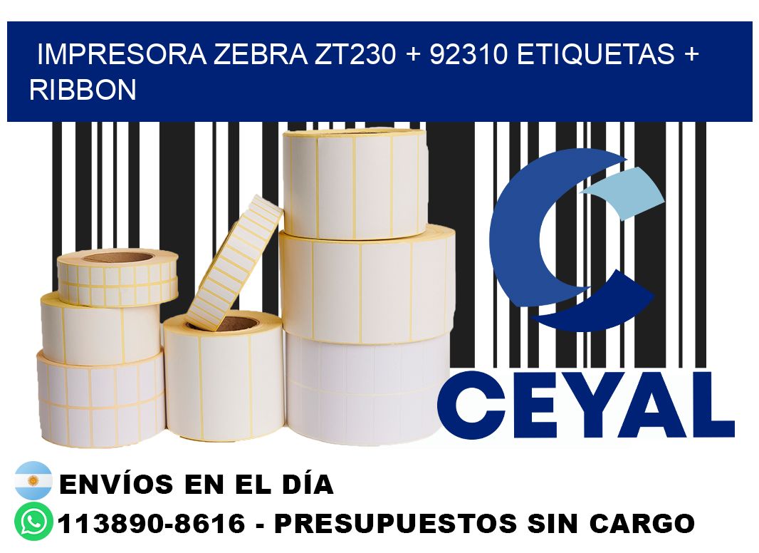 impresora zebra zt230 + 92310 etiquetas + ribbon