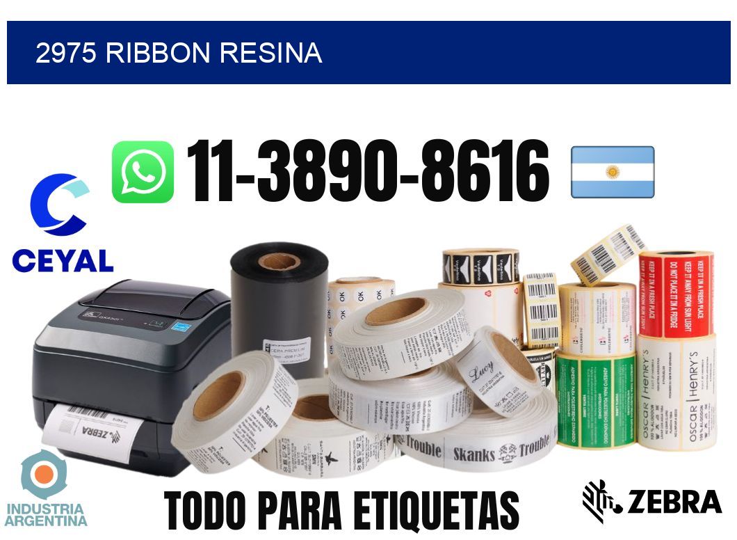 2975 ribbon resina