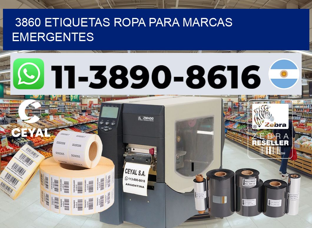 3860 Etiquetas ropa para marcas emergentes