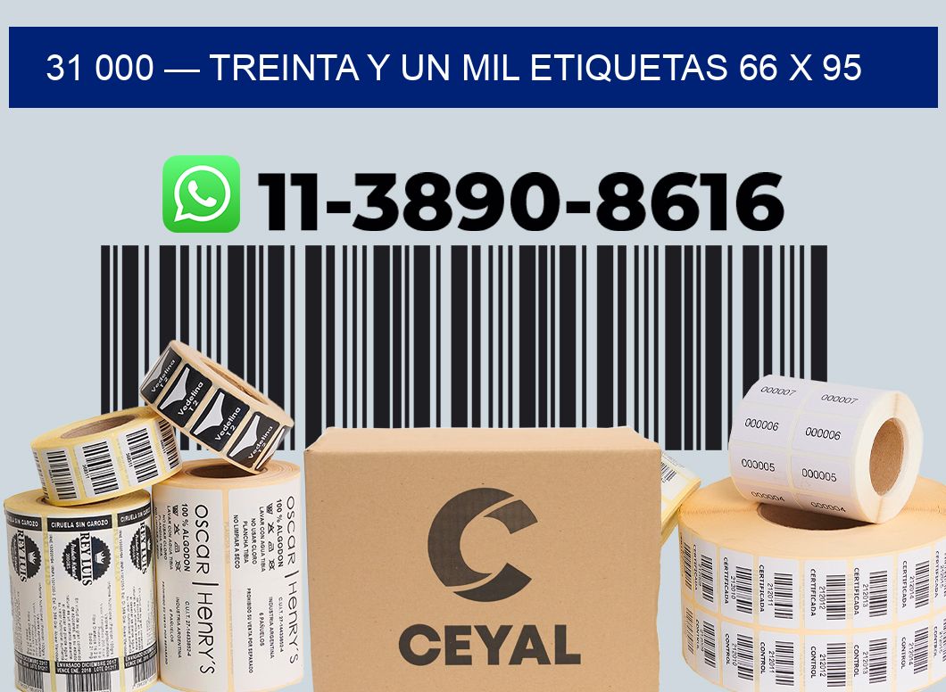 31 000 — treinta y un mil etiquetas 66 x 95