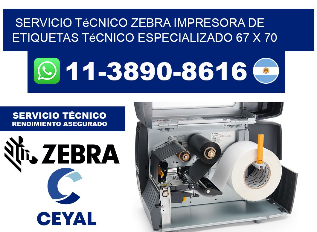 Servicio Técnico Zebra Impresora de Etiquetas Técnico Especializado 67 x 70
