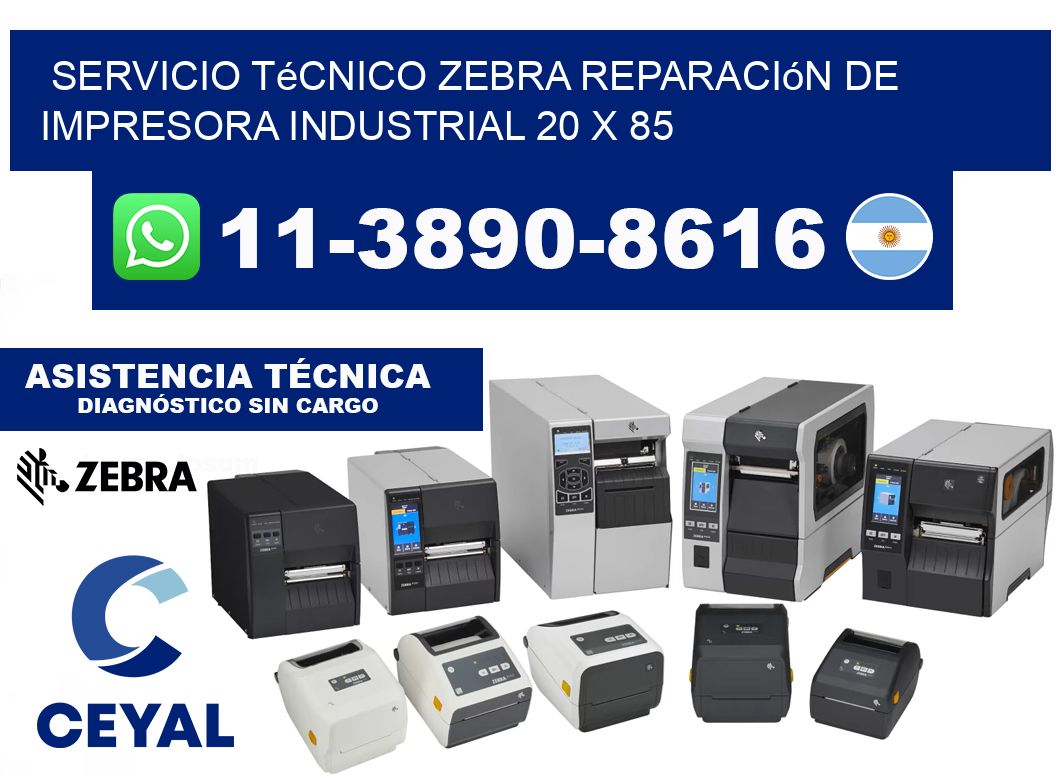 Servicio Técnico Zebra Reparación de Impresora Industrial 20 x 85