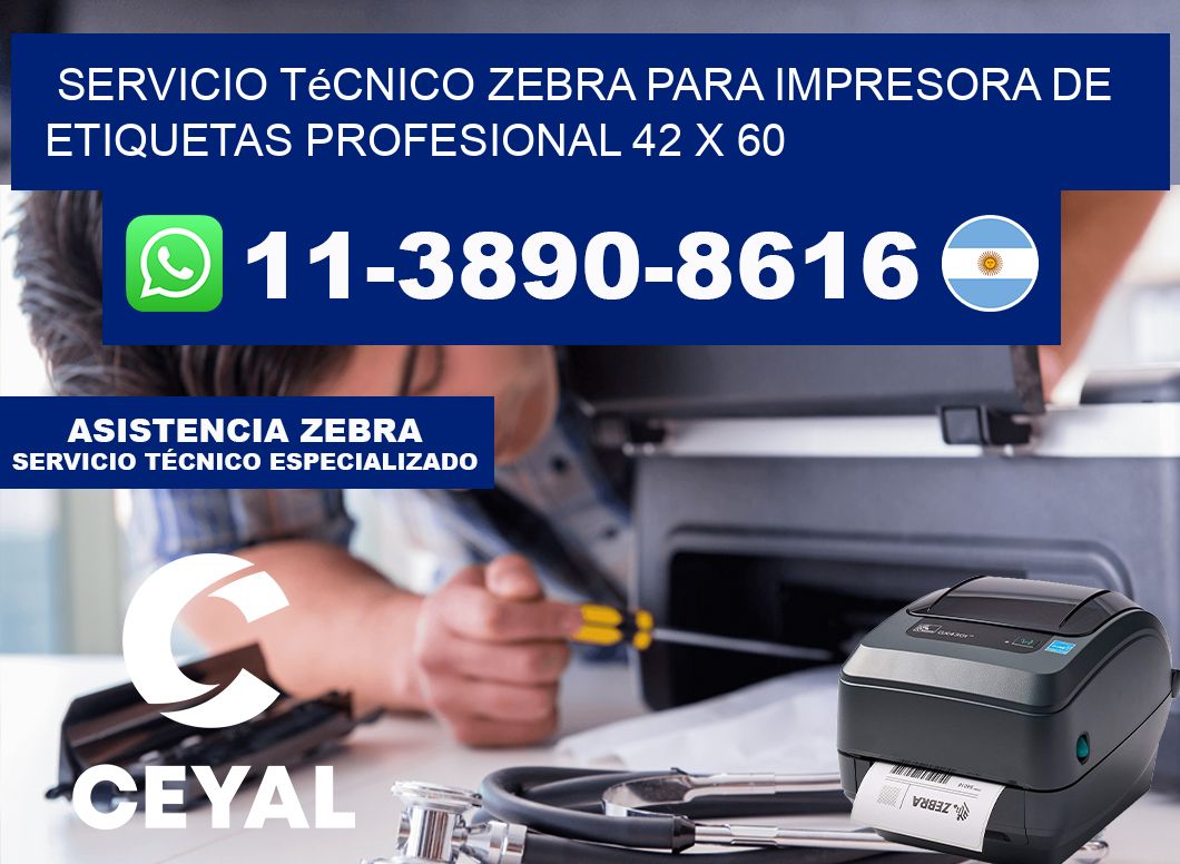 Servicio Técnico Zebra para Impresora de Etiquetas Profesional 42 x 60