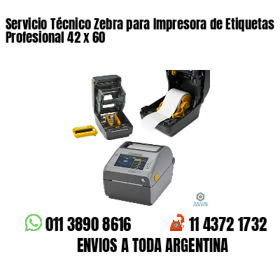 Servicio Técnico Zebra para Impresora de Etiquetas Profesional 42 x 60