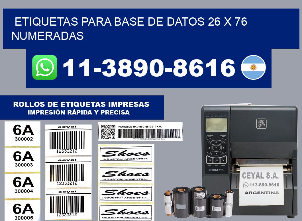etiquetas para base de datos 26 x 76 numeradas