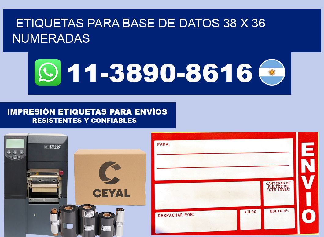 etiquetas para base de datos 38 x 36 numeradas