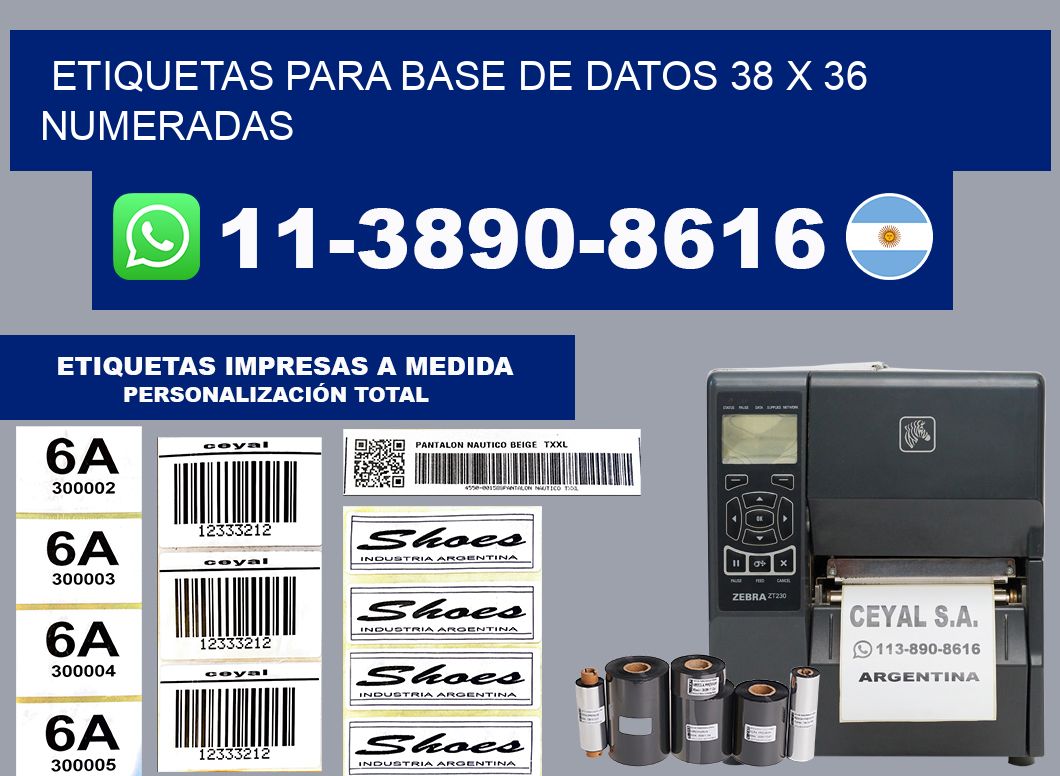 etiquetas para base de datos 38 x 36 numeradas