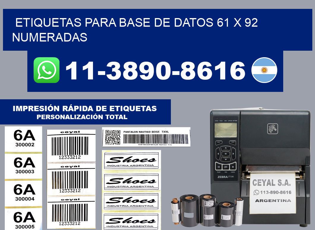 etiquetas para base de datos 61 x 92 numeradas