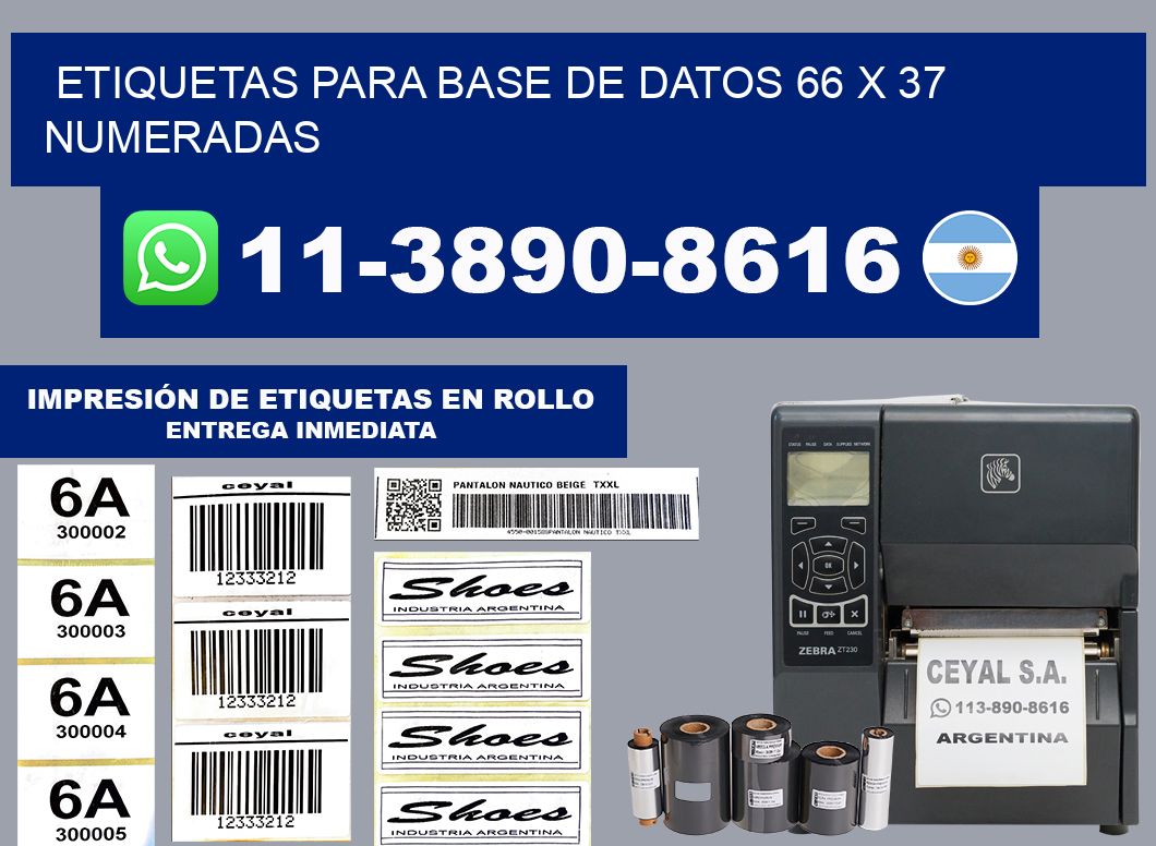 etiquetas para base de datos 66 x 37 numeradas