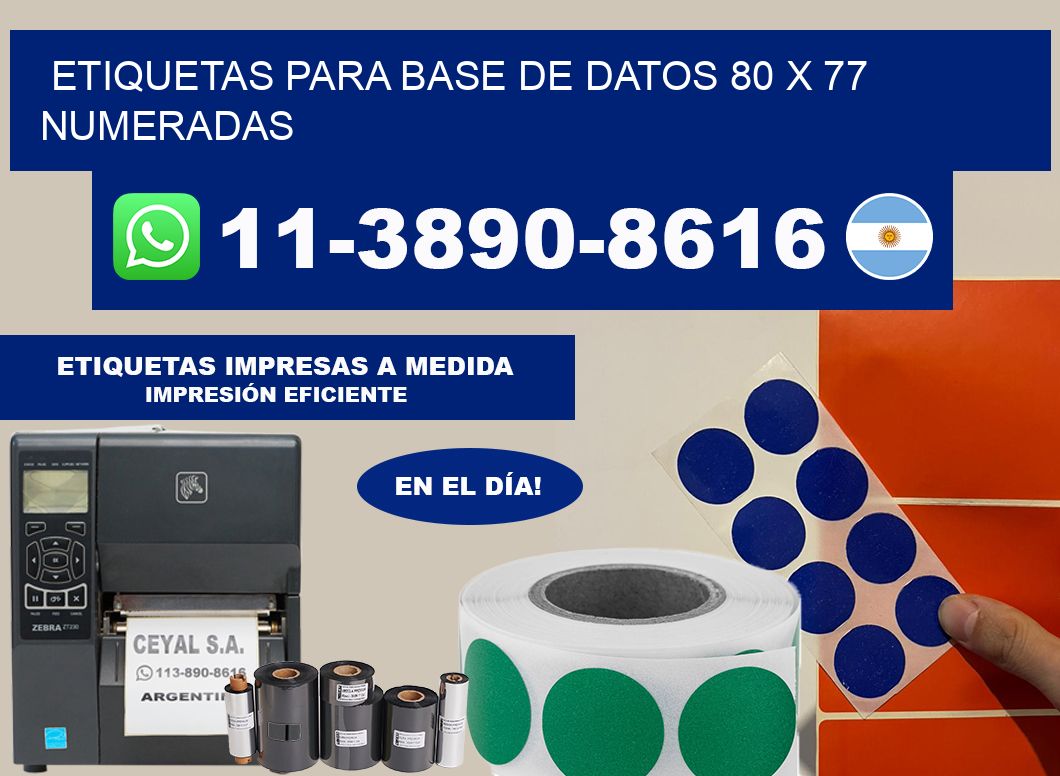 etiquetas para base de datos 80 x 77 numeradas