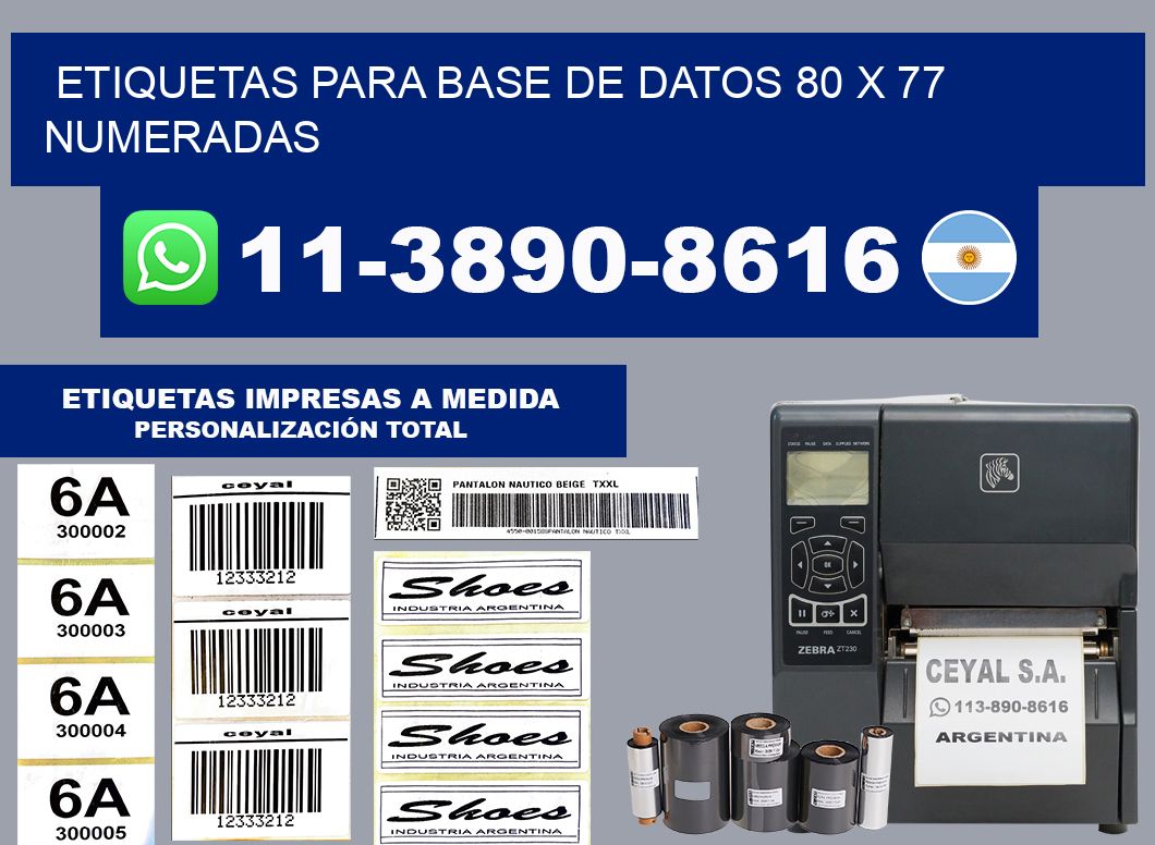 etiquetas para base de datos 80 x 77 numeradas