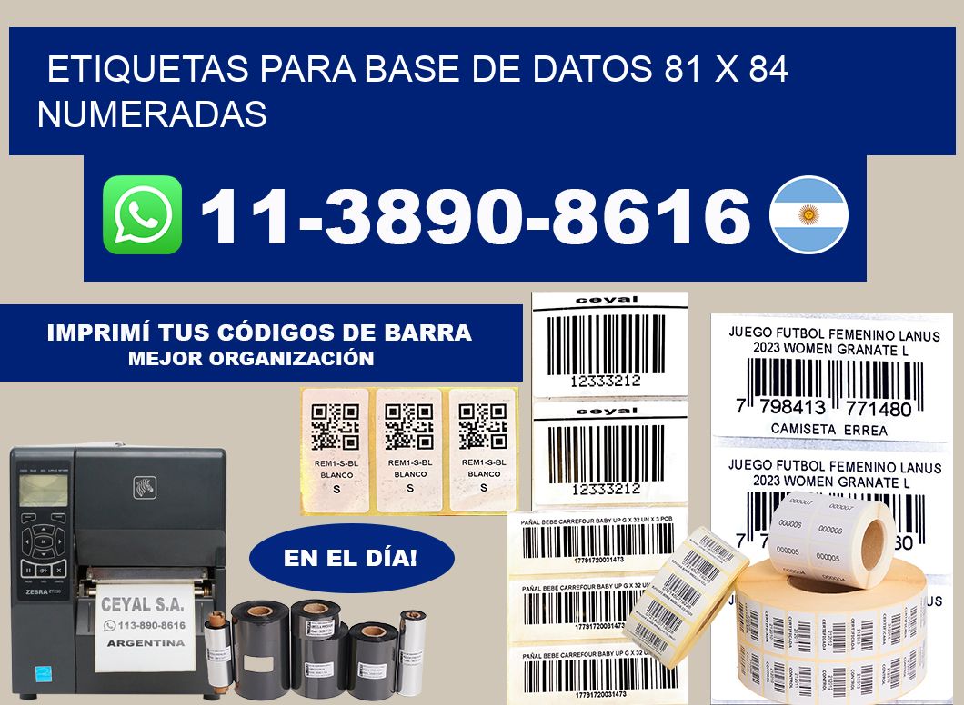 etiquetas para base de datos 81 x 84 numeradas