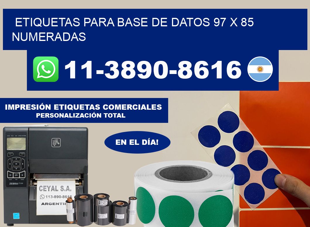 etiquetas para base de datos 97 x 85 numeradas
